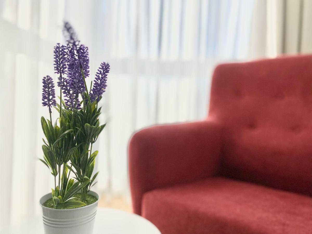 Sofia Suites 坎布里尔斯 外观 照片